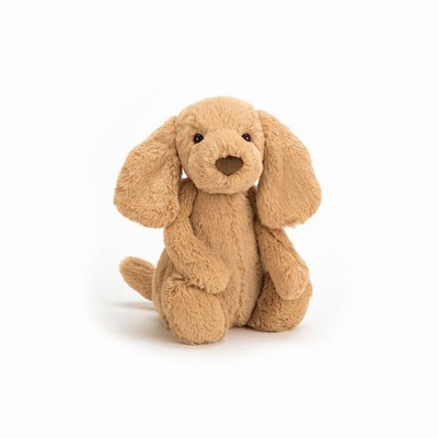 Jellycat Bashful Toffee Dog USA | 61750OPWJ